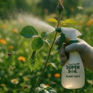 Plant Safe